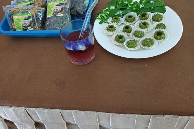 Pendampingan Kader Kestrad dalam pembuatan produk dari Toga 